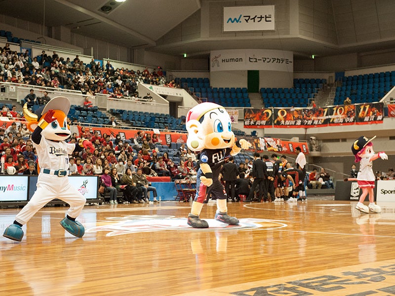 orix1.jpg
