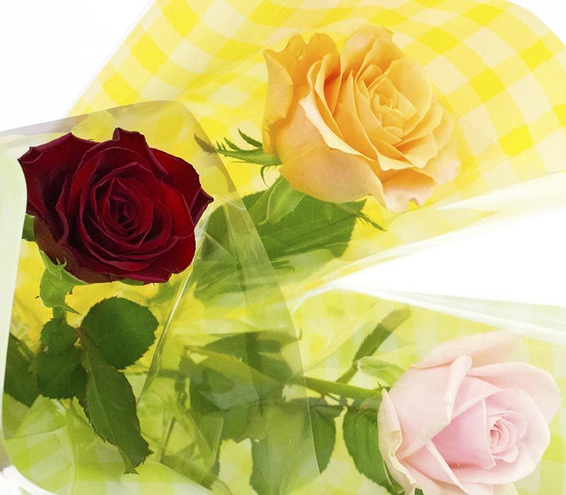 「ONE EVESSA de ONE Rose」バラの一本ラッピング