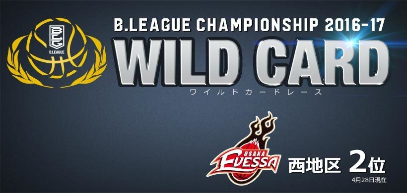 wildcard_02.jpg