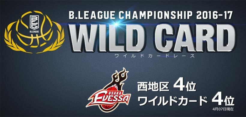 wildcard_02.jpg