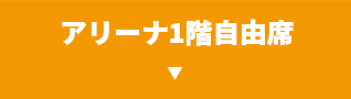 アリーナ1階自由席