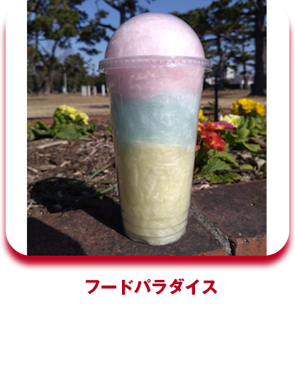 フードパラダイス わたがし