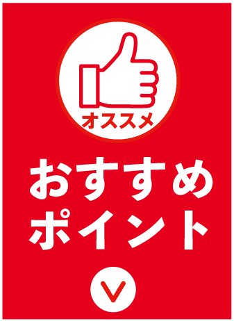 セクション1