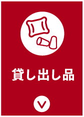 セクション13