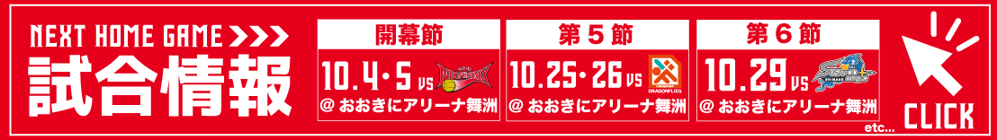 NEXT HOME GAME