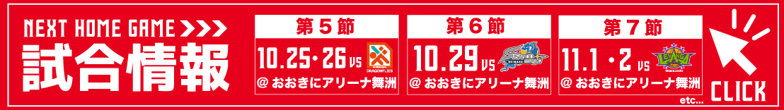 NEXT HOME GAME