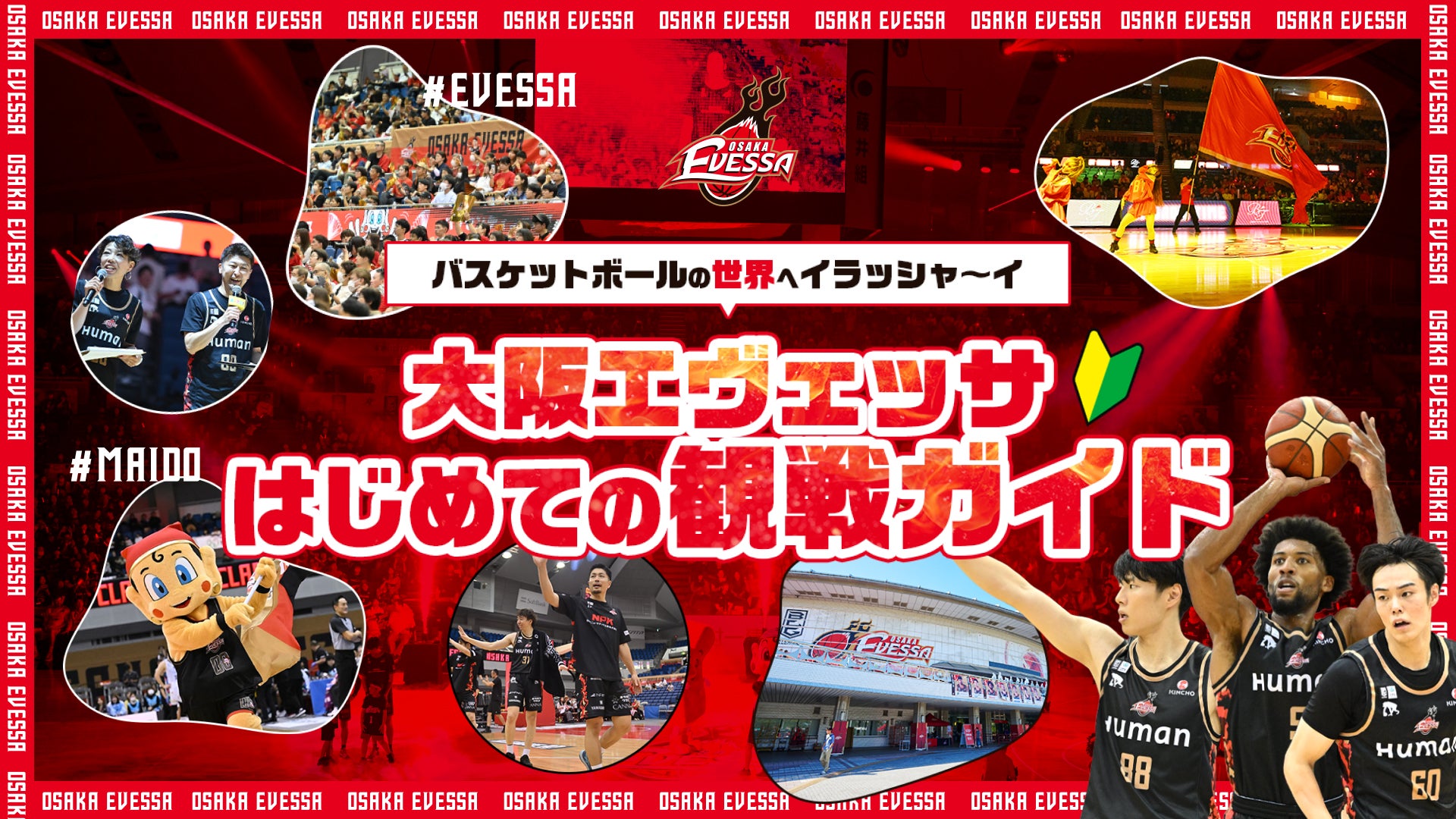 はじめての観戦ガイド