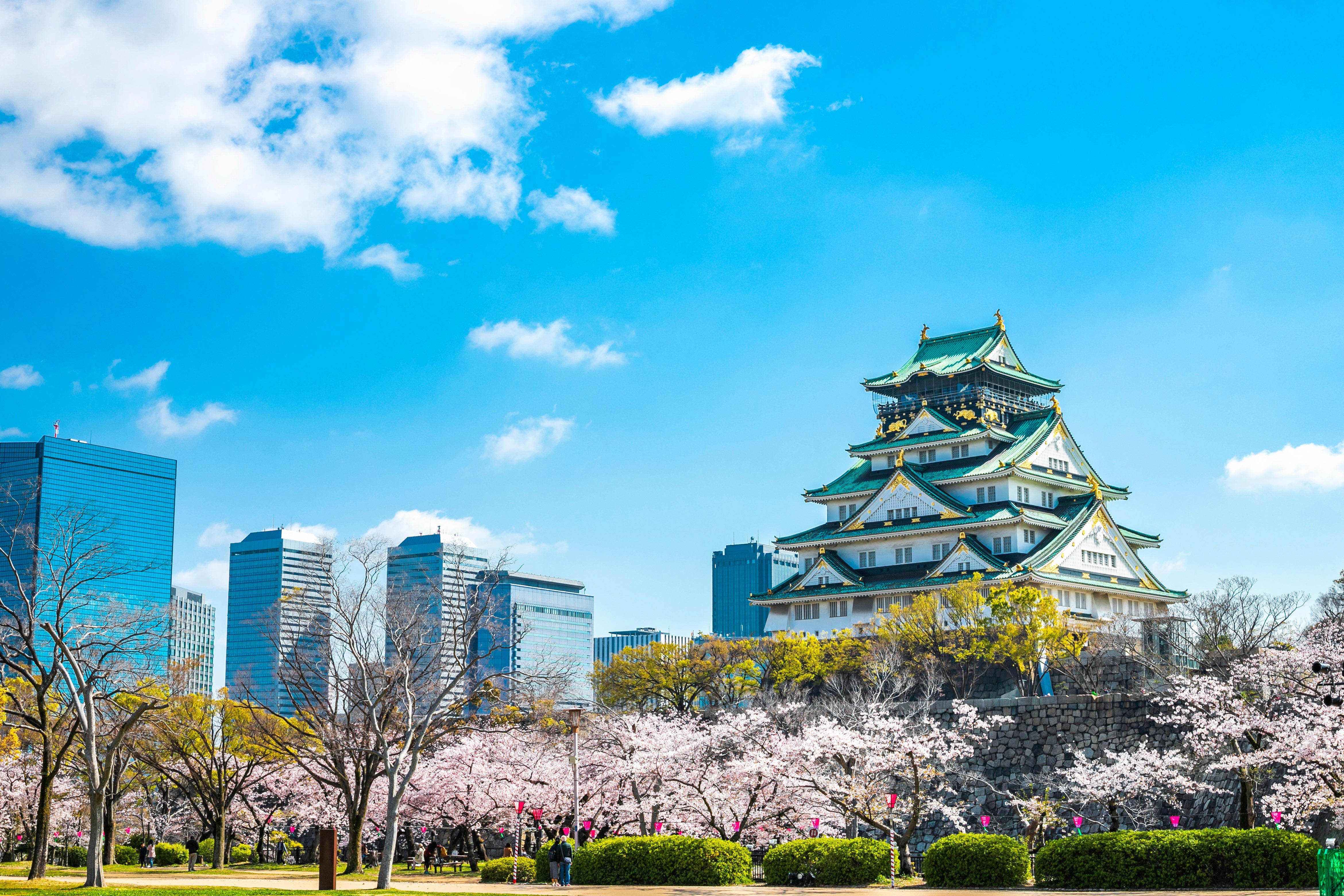 大阪城と桜